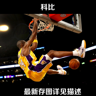 乌尔比诺美术学院学历学位认证
